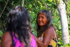 Mulheres Tapayuna na Roça Tradicional. Foto: Khunitxi Tapayuna