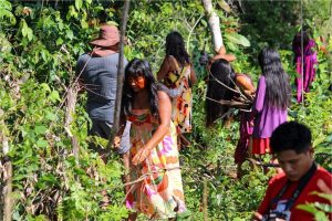 Mulheres trabalhando na Roça Tradicional. Foto: Khunitxi Tapayuna